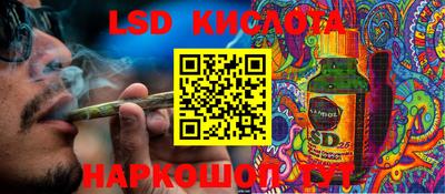 гашик Волгодонск